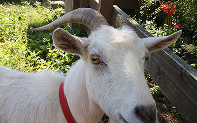 イベントの様子