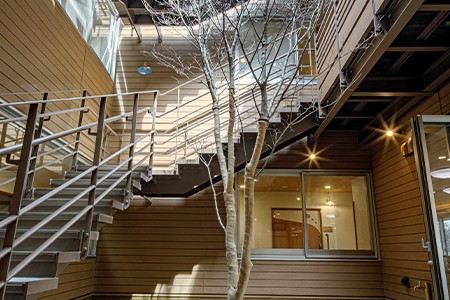 1階　中庭　見上げ