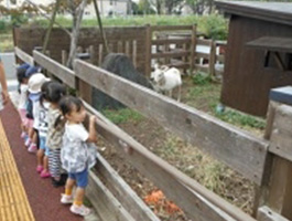 保育園 ハイジの森